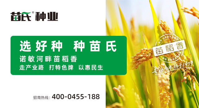 304不銹鋼二分器樣式